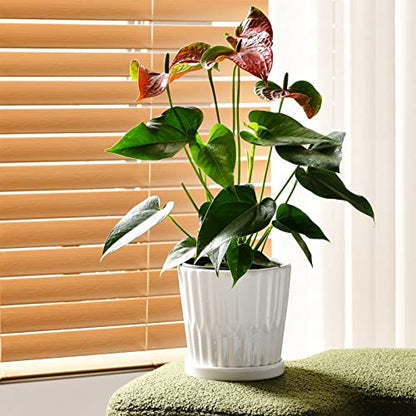 White 6 Inch Flower Pots for Plants,Ceramic Planter with Drainage Holes - color: White