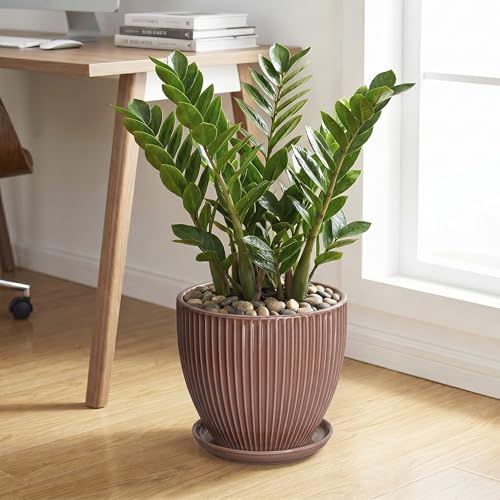 10 Inch Planter, Ceramic Flower Pot with Saucer, Rust Red - color: Rust Red, size: 10 Inch