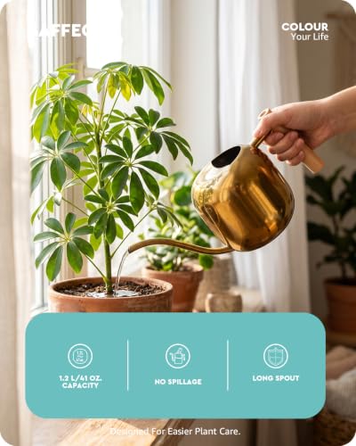 Baffect Watering Can Indoor Plants with Long Spout, 1.2L / 41oz (Glod) - color: Gold