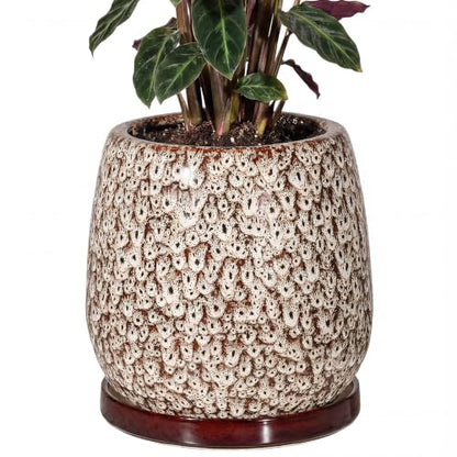10.3 Inch Ceramic Glaze Plant Pot with Saucer, Flower Pots with Drainage Hole Mesh Net (Spot White) - color: Spot White