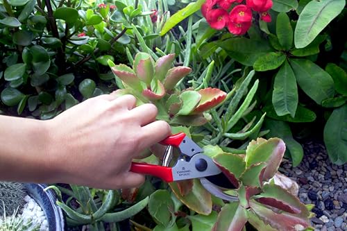 Corona Tools Yard Essentials Pocket Pruner - size: Pocket Pruners