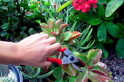 Corona Tools Yard Essentials Pocket Pruner - size: Pocket Pruners