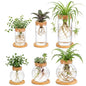 Honeydak 6 Pcs Plants Propagation Station Desktop Glass Propagation Round - color: Round Glass Bottle