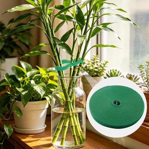 Plant Tape, 6 Rolls 196 Ft, Green - size: 196 feet- 6 rolls