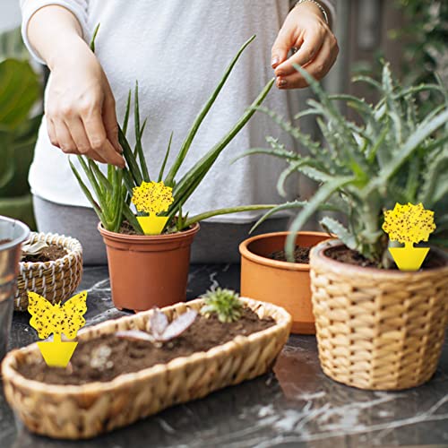 96 Pack Yellow Sticky Fungus Gnat Traps for House Indoor & Outdoor Plants - size: 96 Packs