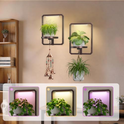 LASZOLA Plant Picture Frame Holder Shelf Wall with Lights, 2 Pcs Brown - color: Brown with Light, size: 2