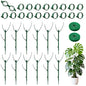 12 Pack Stackable Monstera Plant Support Poles with 20 Clips, 2 Roll Tie
