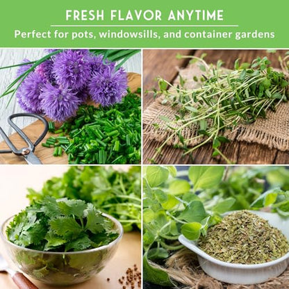 Indoor Herb Seeds Variety Pack - 10 Herbs for Planting
