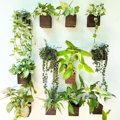 LaLaGreen Indoor Planter Box for Plants (4x4, 12 Pack) Wooden Wall Planters - size: 4x4" x 12 pack