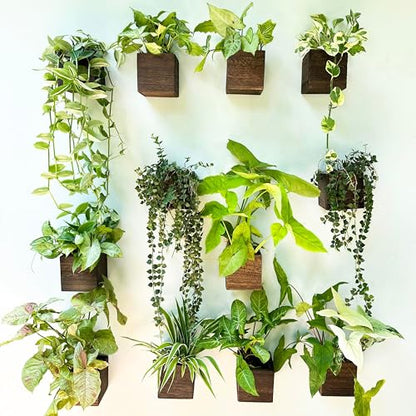 LaLaGreen Indoor Planter Box for Plants (4x4, 12 Pack) Wooden Wall Planters - size: 4x4" x 12 pack