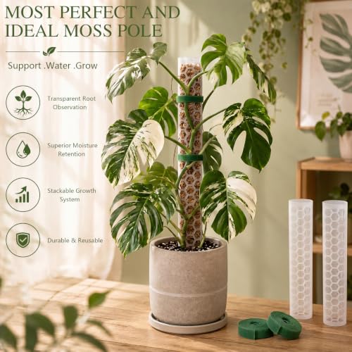 2 Pack 24 Inch,D Shape Plastic Moss Pole for Climbing Plants - size: 2 PACK-24Inch