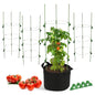 4 Pack 36 Inch Tomato Cages for Pots and Containers - size: 4 Pack