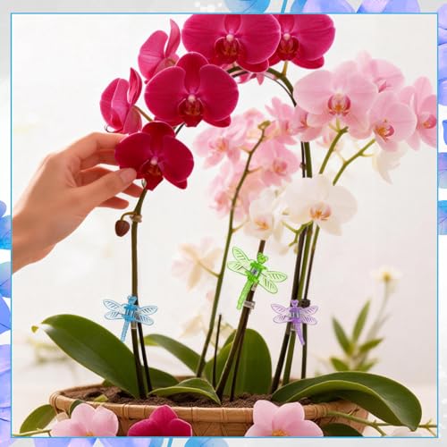 100Pcs Orchid Clips Butterfly Ladybug Plant Clips Orchid Support Clips