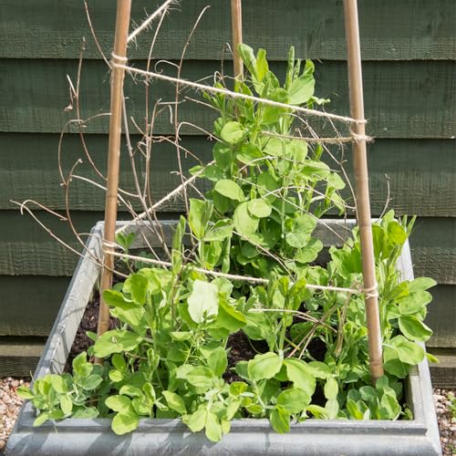 Plant Stakes 35Pcs 18 Inch,POLIUMB Premium Natural Bamboo Garden Stakes - size: 18Inches