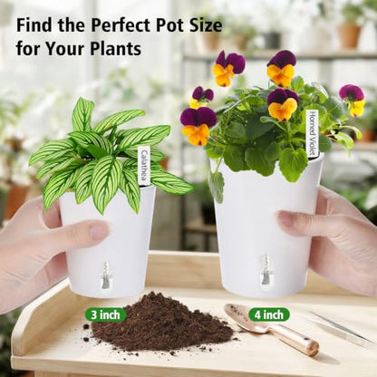 3 Inch Self Watering Pots for Indoor Plants, 10 Pack Clear Nursery Pots with Drainage & Water Level Indicator, Plant Pots for African Violet, Flowers, Herbs - size: 3 Inch