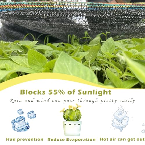 55% Shade Cloth for Garden, Black Shade Net 6.5X6.5 FT - size: 6.5X6.5 FT