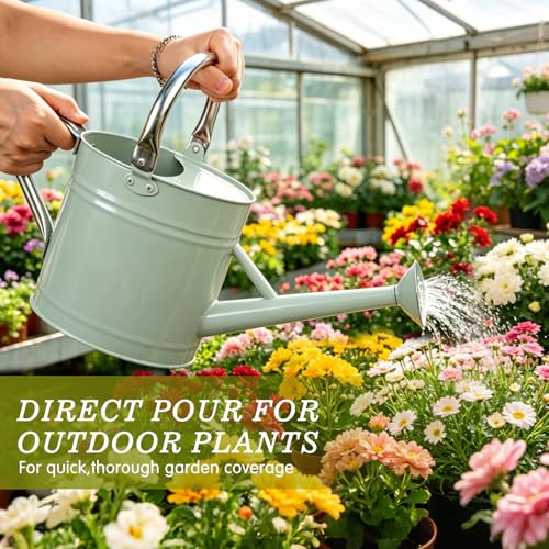 1 Gallon Watering Can for Outdoor&Indoor Plants，Cream Green - color: Cream Green