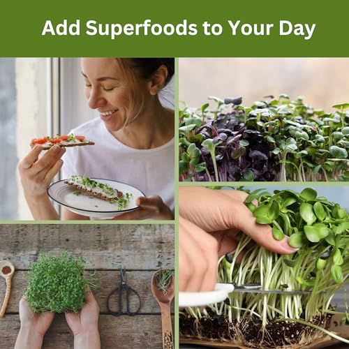 Microgreen Refill – 4 Harvests: Coco Coir Discs and 4 Packs Organic Seeds - style: Coco Coir Refill
