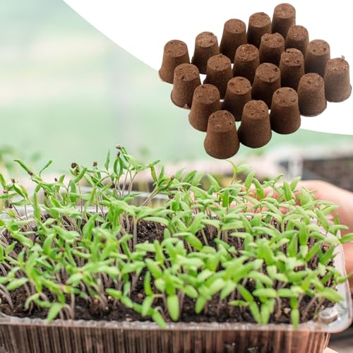 Hydroponic Grow Sponges | 20 Pieces Growing Replacement Blocks | Hydroponic Sponges Replacement | for Lettuce Vegetables Flowers Soil Systems Yard Farm Porches Courtyards Balconies Terraces