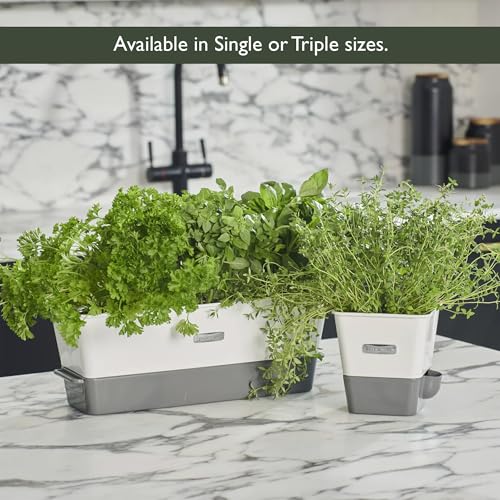 Cole & Mason Burwell Self-Watering Potted Herb Keeper - size: Triple Fresh Herb Keeper