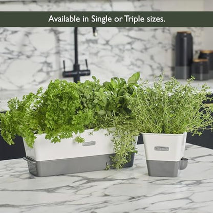 Cole & Mason Burwell Self-Watering Potted Herb Keeper - size: Triple Fresh Herb Keeper