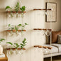 Leinuosen Hanging Plant Propagation Station, Propagation Vases, Clear - color: Clear