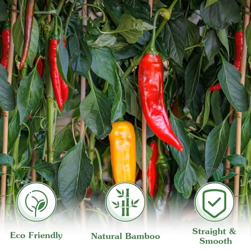 Plant Stakes, 4.8 FT Natural Bamboo Stakes Plant Support Stakes - 25Pcs - size: 4.8 FT,Pack of 20