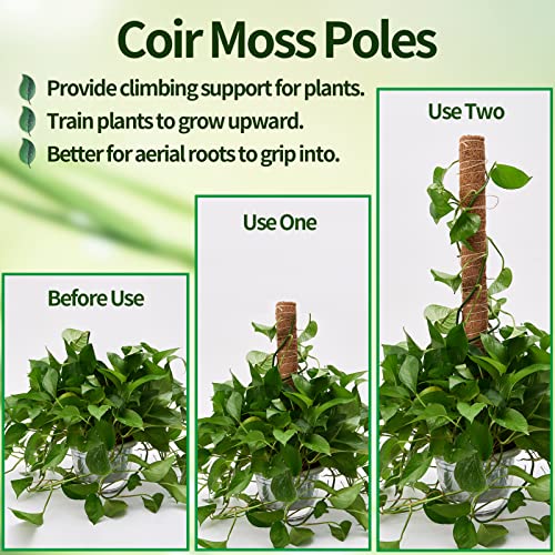 Eibikdi Moss Pole 68in for Plants Monstera 6pcs - size: 6 Packs