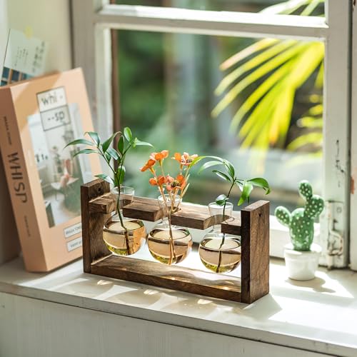 Wall Plant Propagation Station with Wooden Stand, Gradient Brown
