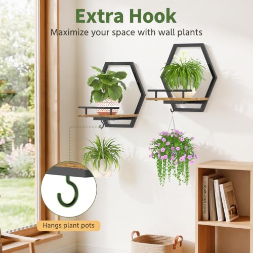 LASZOLA Plant Picture Frame Holder Shelf Wall Window Indoor, 2 Pcs Brown - color: Obsidian Black+Brown, size: 2