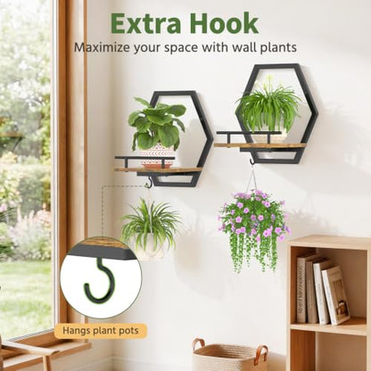 LASZOLA Plant Picture Frame Holder Shelf Wall Window Indoor, 2 Pcs Brown - color: Obsidian Black+Brown, size: 2