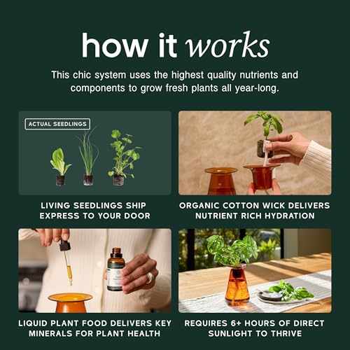 Lettuce Grow Counterstand | Indoor Hydroponic Herb Garden Kit | No Light - size: No glow lamp