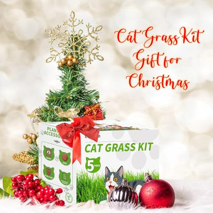 5Pack Cat Grass Seeds Growing Kit for Indoor Cats