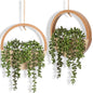 2 Pack Fake Plants Artificial Wall Hanging Succulents Plant - color: Wood Color, size: 2 Pcs