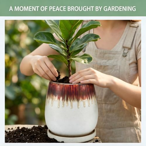 10.3 Inch Ceramic Glaze Plant Pot with Saucer, Flower Pots with Drainage Hole Mesh Net (Hemp-White) - color: Hemp White