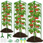 Tomato Cages for Garden,3 Pack Tomato Cage Trellis,Garden Cage Heavy Duty - color: 3 Pack