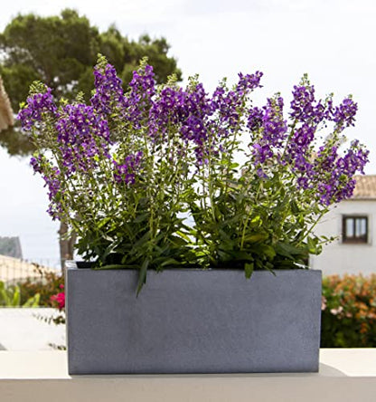 Modern Rectangle Balcony Window Cement Gray Planter Box Elegant Rectangular 8" H x 8" W x 20" L Flower Pot - color: Cement Grey, size: 8x8x20