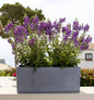 Modern Rectangle Balcony Window Cement Gray Planter Box Elegant Rectangular 8" H x 8" W x 20" L Flower Pot - color: Cement Grey, size: 8x8x20