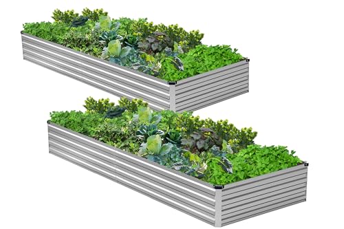 2PCS 6x3x1ft Galvanized Raised Garden Bed Kit,Metal Planter Box for Vegetables,Flowers,Herbs Durable Rust-Resistant Patio Gardening Beds,Silver - color: Sliver, size: 6x3x1(2PCS)