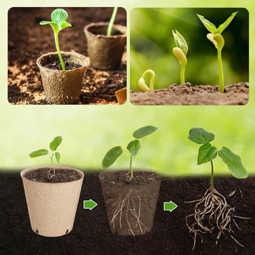132 PCS Organic Peat Pots, 3.15 Inch Nursery Pot, Round Plant Seedling Pot - size: 3.15 Inch 132 Pcs