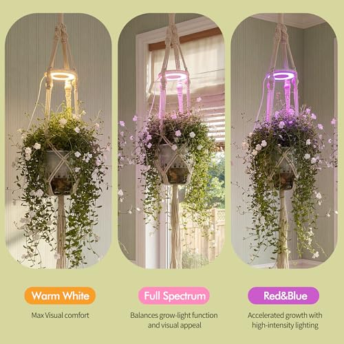 Hanging Plant Grow Lights for Indoor Plants with Timer - size: 1 Pack
