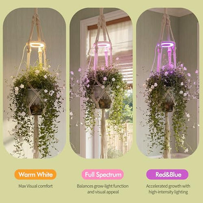 Hanging Plant Grow Lights for Indoor Plants with Timer - size: 1 Pack