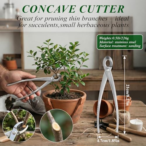 Bonsai Tools Set 3-Piece – Knob Cutter, Concave Cutter & Scissors for Trim