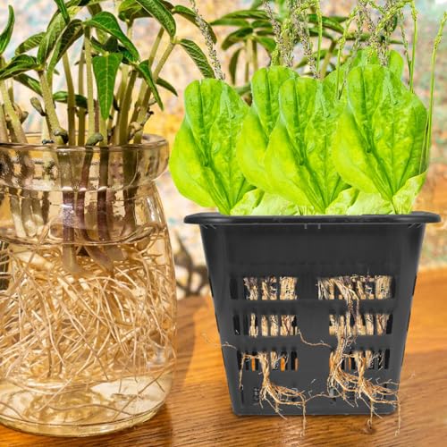 BESPORTBLE Hydroponic Net Pots: 8pcs Slotted Mesh Net Cups, Hydroponic Square Cups Mesh Planting Cups Plastic Net Pots for Hydroponics
