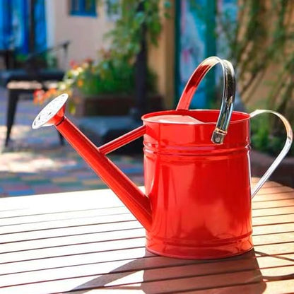 Metal Watering Can 1 Gallon for Indoor and Outdoor Plants Red - color: 1 Gallon Red