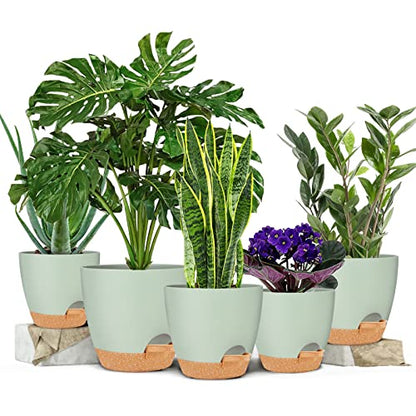 GARDIFE 5/5.5/6/6.5/7 Inch Self Watering Planters, Green - color: 7-green, size: 7/6.5/6/5.5/5 inch|5 pcs