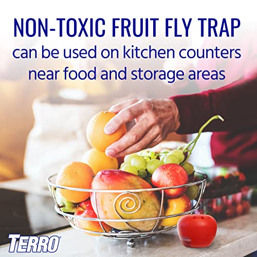 TERRO T2502 Ready-to-Use Indoor Fruit Fly Trap with Built in Window - 2 Traps + 90 day Lure Supply - size: 2 Traps
