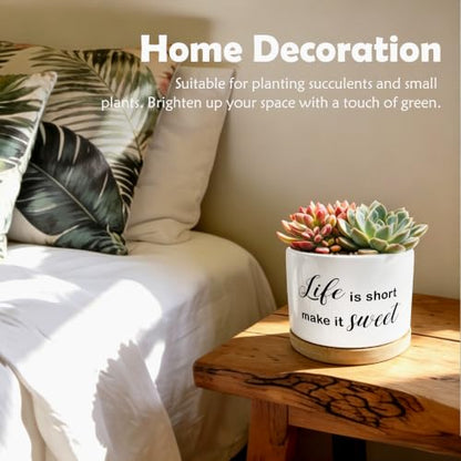 Motivational Funny Planter Pots, Life is Short Make It Sweet Ceramic Succulent Plant Flower Planters(No Plants) - color: Style 02