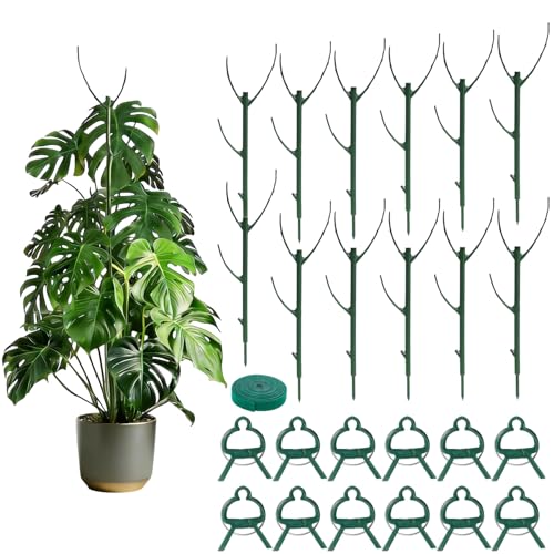 Tree Branch Plant Support Stakes – Stackable Plant Support Sticks with Clips & Velcro Tie – Natural Aesthetic Extendable Trellis for Indoor Plants, Monstera, Pot (Green-12 Pack) - color: Green-12 Pack