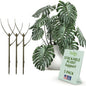 Twigs GA Stackable Plant Support Stakes, Moonstone, 3-Pack, 17" L - color: Moonstone, size: Stackable (3 Pack)
